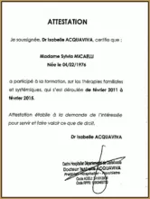 Attestation de formation en thérapie familiale et systémique , Borgo, Sylvia Micaelli